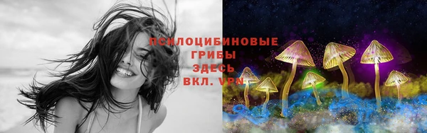 молекула духа Видное