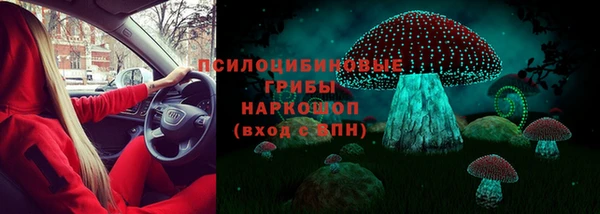a pvp Михайловск