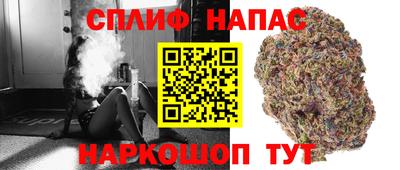 крисы Коммунар