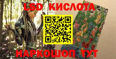 крисы Коммунар