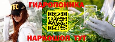 крисы Коммунар